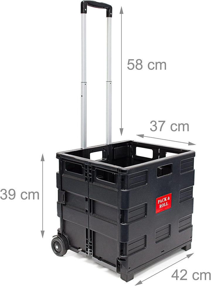 2 x Einkaufstrolley, Klappbar, Einkaufsroller bis 35 kg, Verstellbarer Griff, Mit Rollen, HBT: 100 x