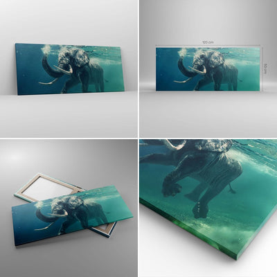 Wandbilder Dekoration Wohnzimmer Elefant Tier Wasser Panorama Bilder auf Leinwand 120x50cm Leinwandb