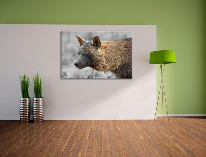 anmutige Hyäne im Wildgras schwarz/weiss auf Leinwand, XXL riesige Bilder fertig gerahmt mit Keilrah