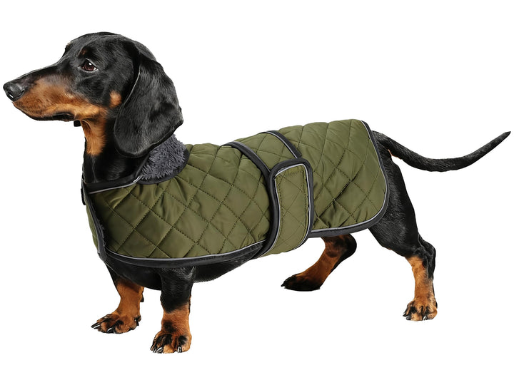 Geyecete - Warmer wintermantel für dackel Hunde,Hunde Winterjacken mit plüschfutter,Outdoor jacken m