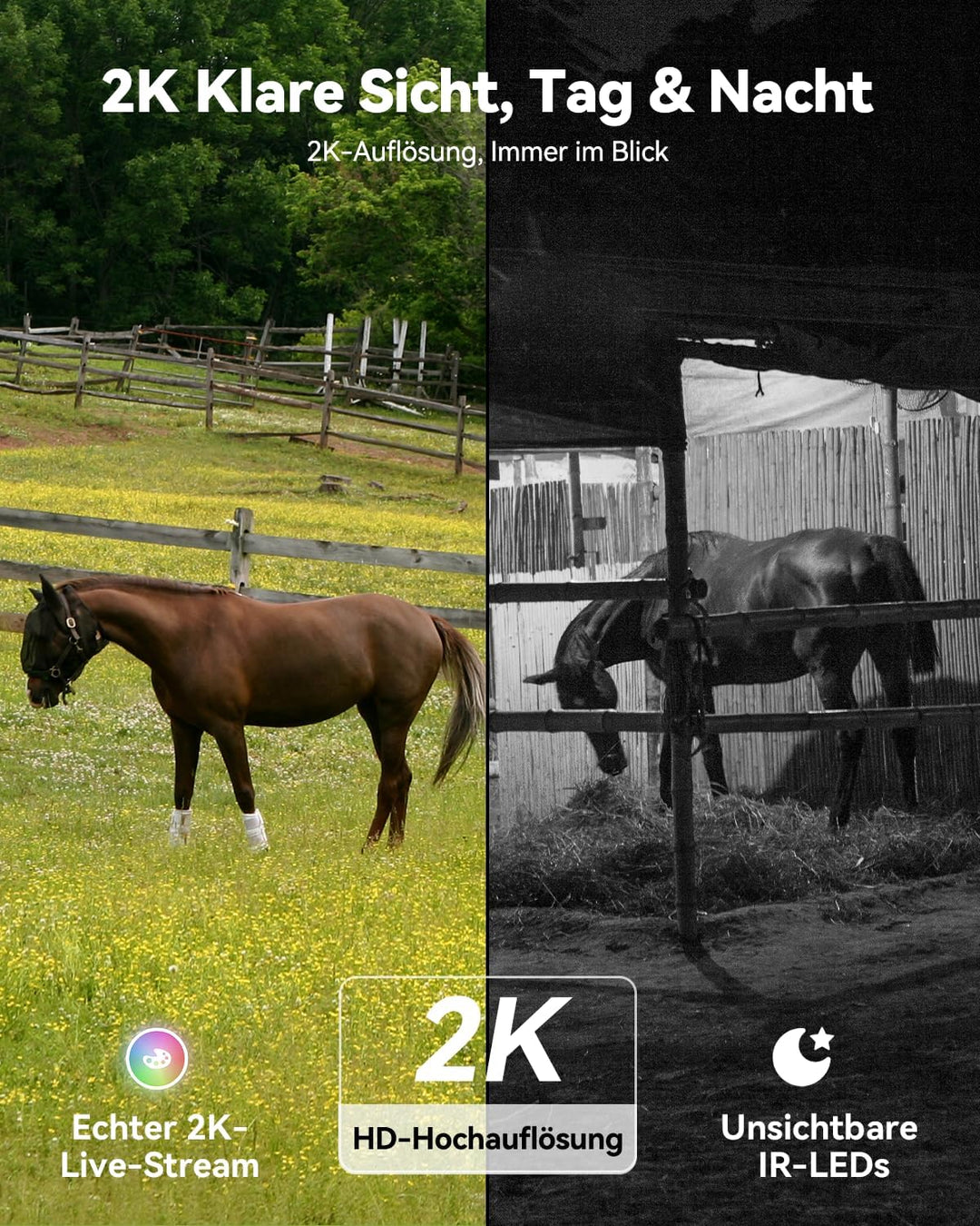 4G LTE Wildkamera mit SIM Karte, 2K Solar Wildtierkamera mit Handyübertragung APP Farbnachtsicht 12X