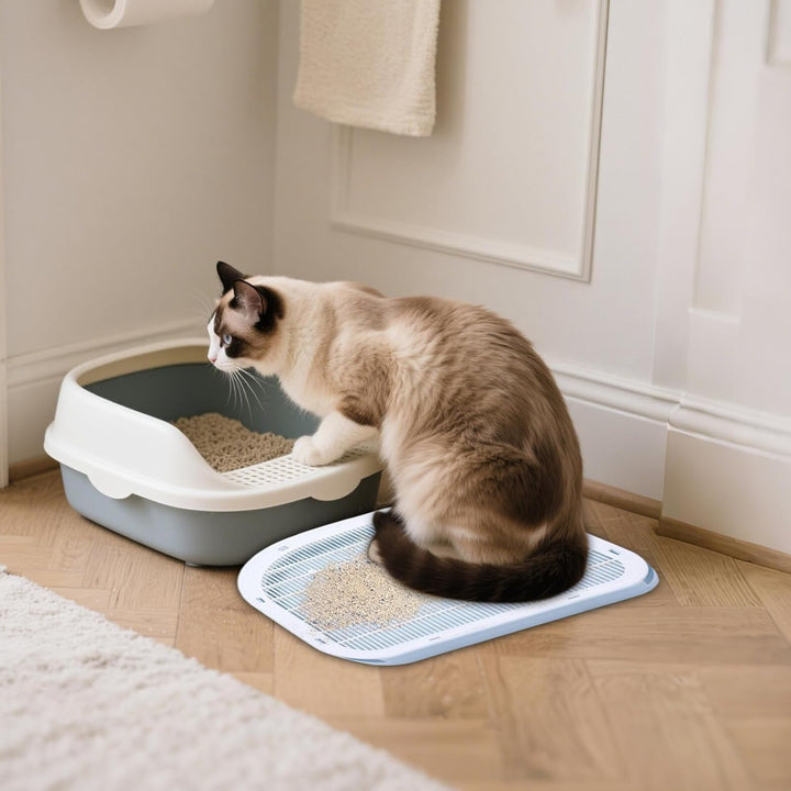 Katzenstreu Stufe, Tritt Mit Filterfunktion, Doppelschichtiger Leicht Zu Reinigender rutschfeste Fän