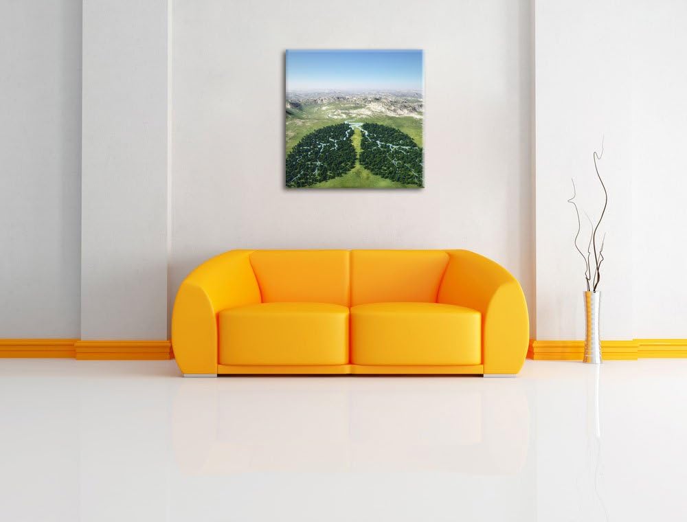 Grüne Lunge der Natur, Format: 70x70 auf Leinwand, XXL riesige Bilder fertig gerahmt mit Keilrahmen,