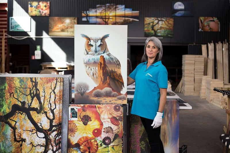 Startonight Leinwand Wandkunst – Eule auf einem Felsen – Kunstwerk Fertig zum Aufhängen für Wohnzimm