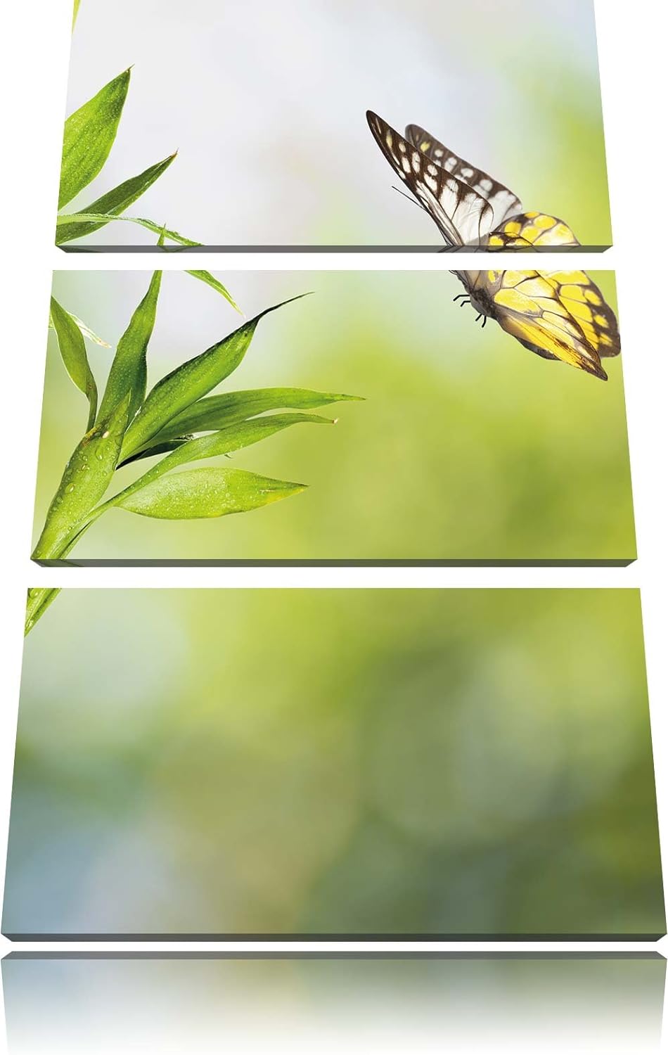 Pixxprint Bambus mit Schmetterling 3-Teiler Leinwandbild 120x80 Bild auf Leinwand