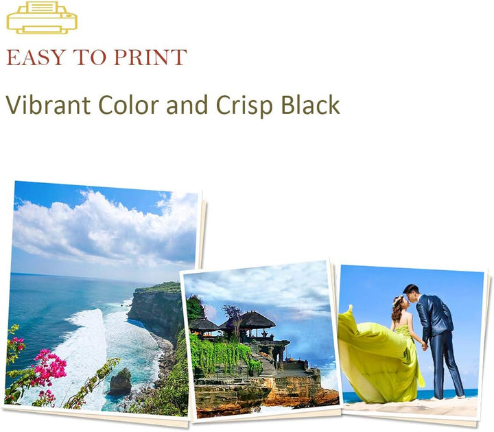 ASEKER Kompatibler Tonerkartusche M C250H für Ricoh M C250FWB, P C301W Drucker, 6,900 & 6,300 Seiten