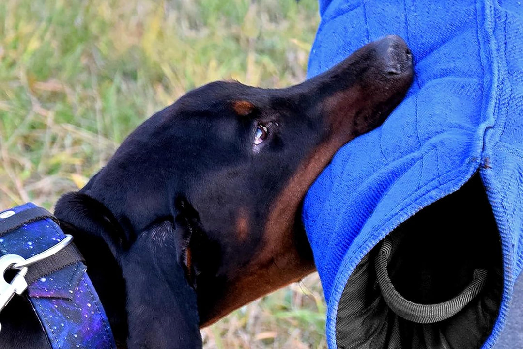Dingo Gear Schutzarm Extern Soft aus Nylcot Blau Bissmanschette Hundeausbildung Hundetraining Bisstr