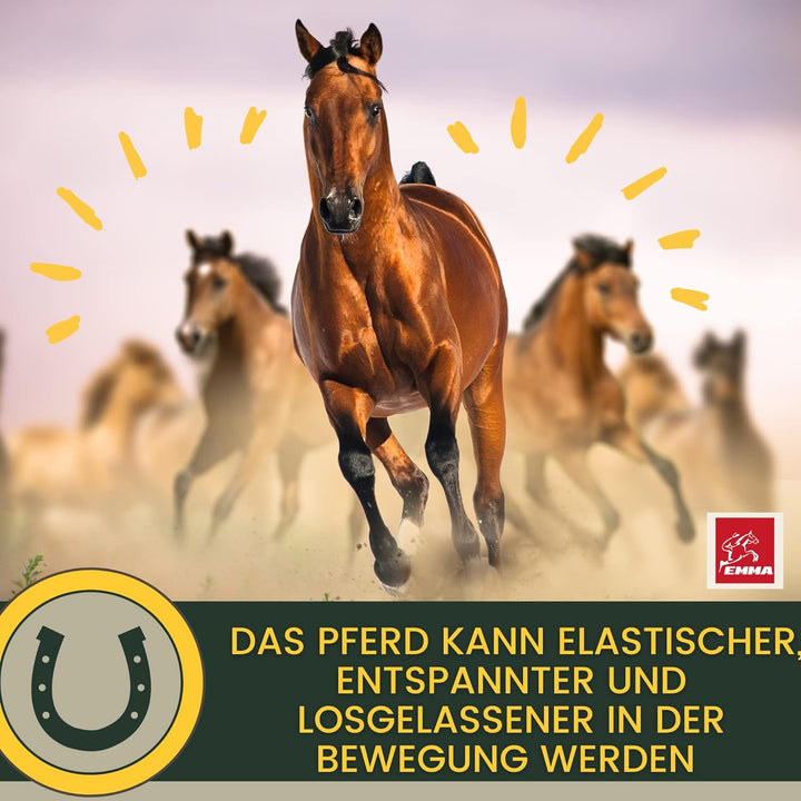 MSM Pulver I Gelenk Pulver für Pferde plus MSM Pferd - Knochen-Gelenk-Komplex mit Calcium Vitamin D