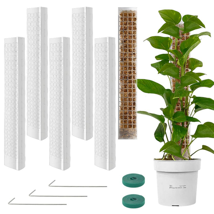 Vicloon Moosstab Rankhilfe, 6 Stück Kunststoff-Moosstange 61cm Monstera Pflanzstab, Pflanzenunterstü
