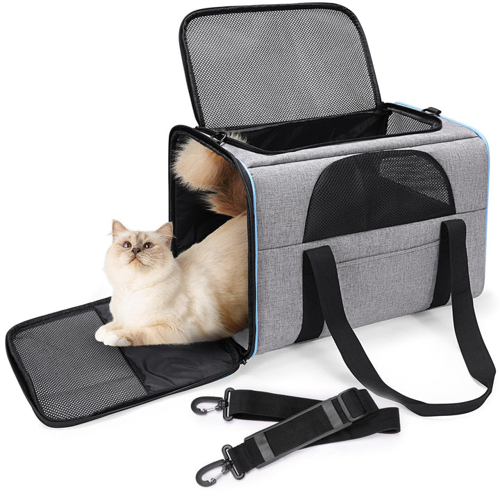 BERTASCHE Transporttasche für Katzen Hunde bis zu 7kg Transportbox Faltbar Tragetasche Katzentranspo