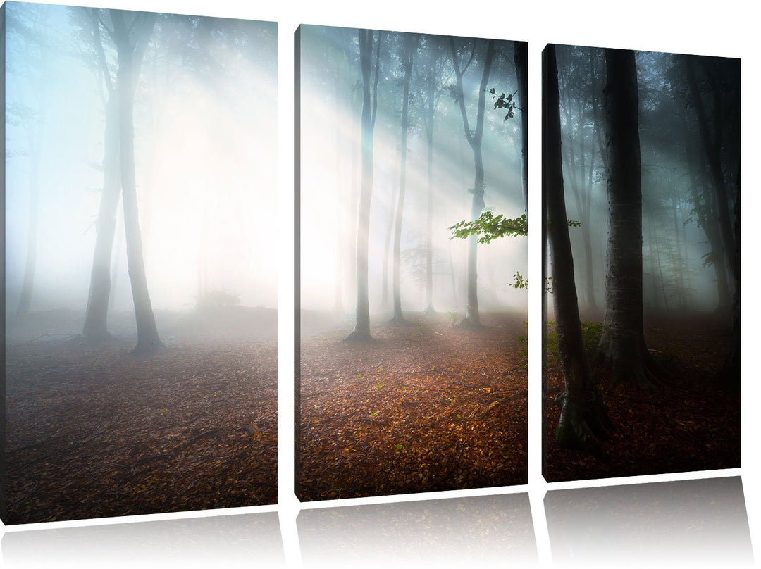 Pixxprint Düsterer Wald im Nebel als Leinwandbild/Grösse: 3 Teilig (120x80) cm/Wandbild/Kunstdruck/f