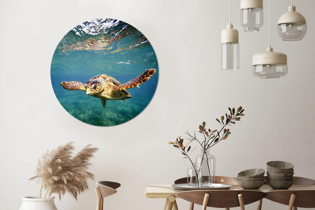 MuchoWow Wandbild Rund Wanddeko Deko Wohnzimmer Bilder 90x90 cm Schildkröte - Wasser - Blau, 90x90 c