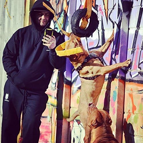 Bestia |EROS| Leder Brustgeschirr für grosse Hunde. Bis 145 cm Brustumfang. 100% Leder. Handgefertig