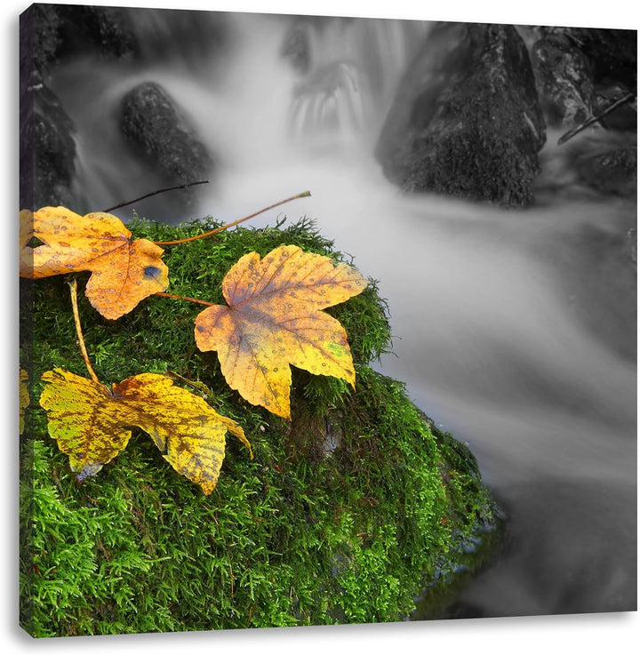 Pixxprint Waldbach als Leinwandbild/Grösse: 70x70 cm/Wandbild/Kunstdruck/fertig bespannt, 70x70