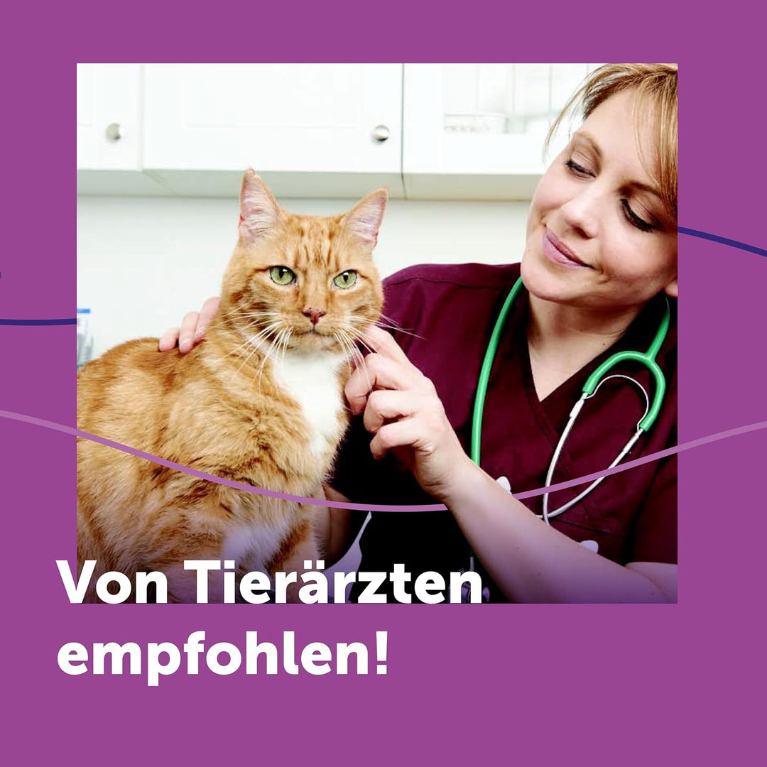 FELIWAY Classic Vorteilspack für Katzen | 3x Nachfüllflakon | Pheromone zur Reduktion von Stressverh
