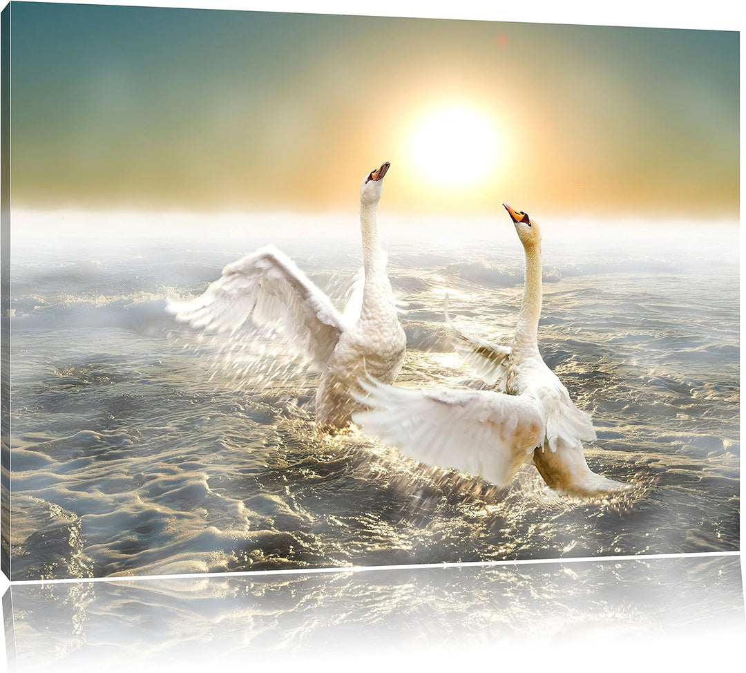 Pixxprint Schwäne im Meer als Leinwandbild/Grösse: 100x70 cm/Wandbild/Kunstdruck/fertig bespannt, 10