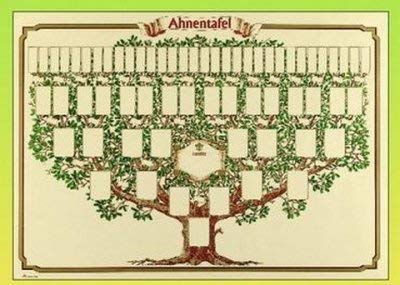 RNK-Verlag Reimer Nachf. Kuhn Premium Ahnentafel RNK 2808 50x70cm 1-63 6generationen Baum