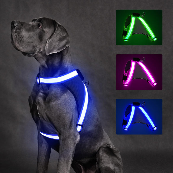 ChalkLit LED Leuchtendes Hundegeschirr USB Wiederaufladbares Vollständig Beleuchtetes Hundegeschirr