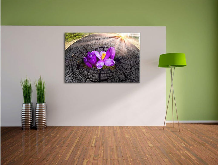 Die Kraft der Natur, Format: 100x70 auf Leinwand, XXL riesige Bilder fertig gerahmt mit Keilrahmen,