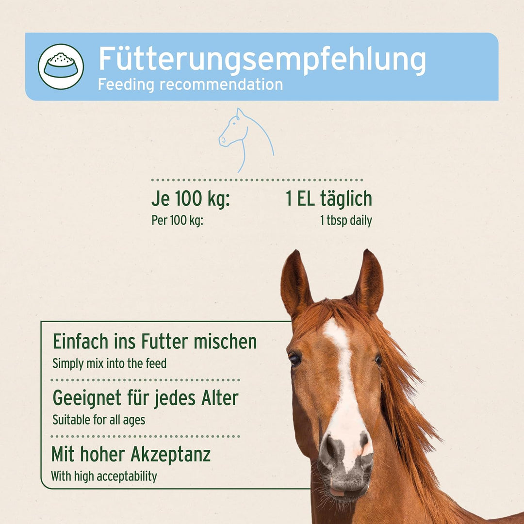 AniForte Mauke Formel für Pferde 1kg - Natürliche Hautpflege & Hufpflege, Unterstützt Stoffwechsel &