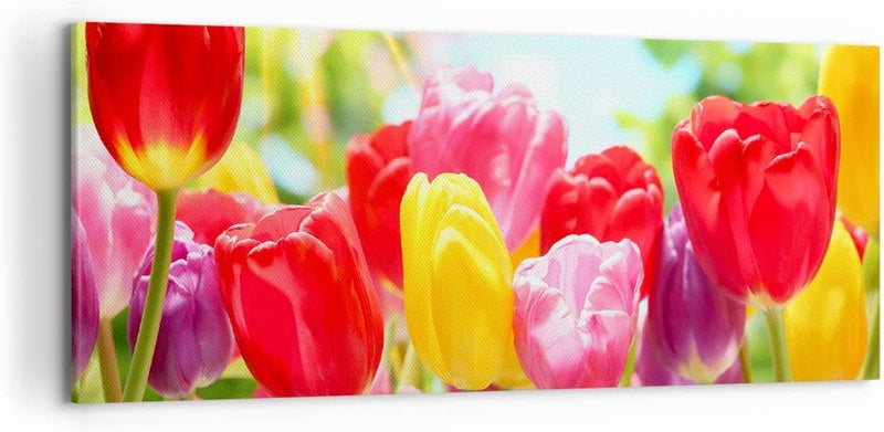 Wandbilder Dekoration Wohnzimmer Tulpe Blume Garten Plantage Panorama Bilder auf Leinwand 120x50cm L