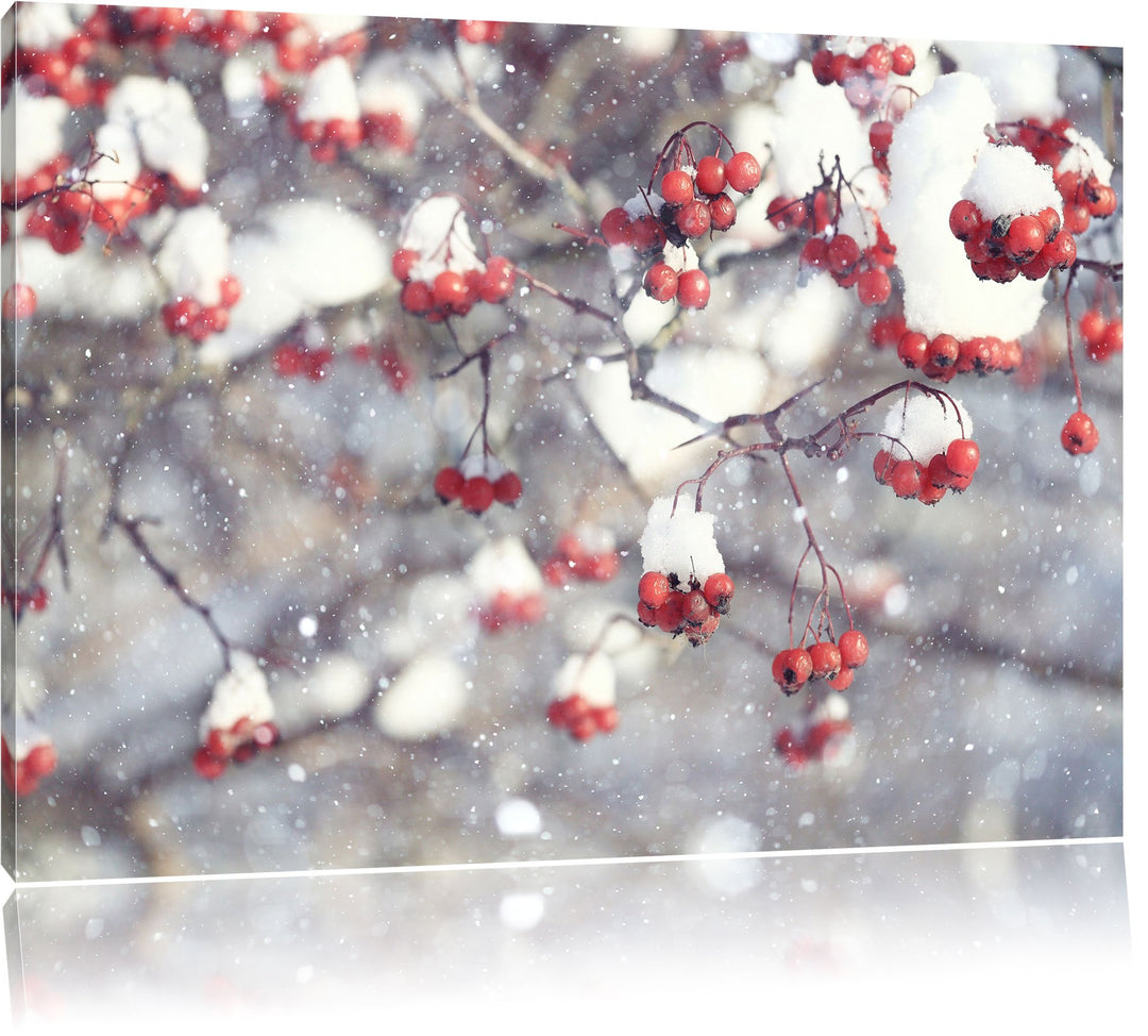 Pixxprint Vogelbeeren mit Schnee bedeckt, Format: 100x70 auf Leinwand, 100x70
