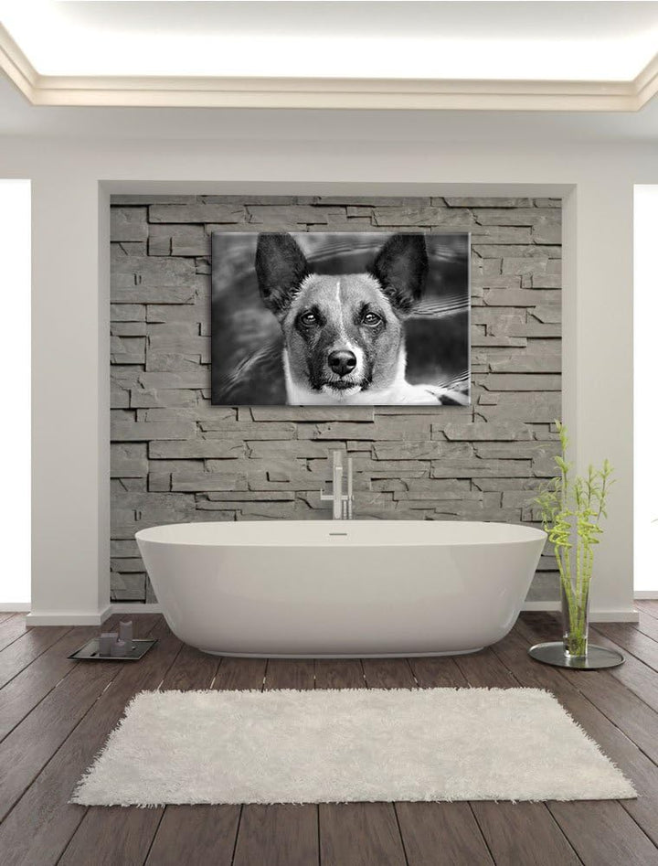 Pixxprint niedlicher Hund im Wasser auf Leinwand, XXL riesige Bilder fertig gerahmt mit Keilrahmen,