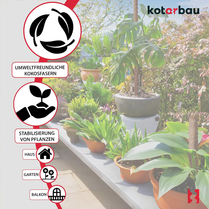 KOTARBAU® 2er Set Moosstab für Monstera Kokos Natural ⌀3,2 x 120cm Pflanzenstab Rankhilfe für Monste