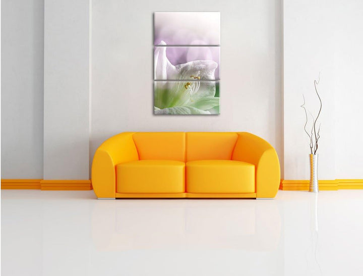 Pixxprint Einzigartige Sphynx Katze als Leinwandbild/Grösse: 3 Teilig (120x80) / Wandbild/Kunstdruck