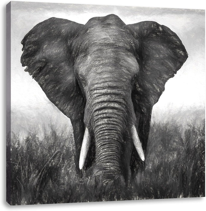 prachtvoller Elefant, Format: 70x70 als Leinwandbild, tolle Bilder fertig auf Holzrahmen gespannt, K