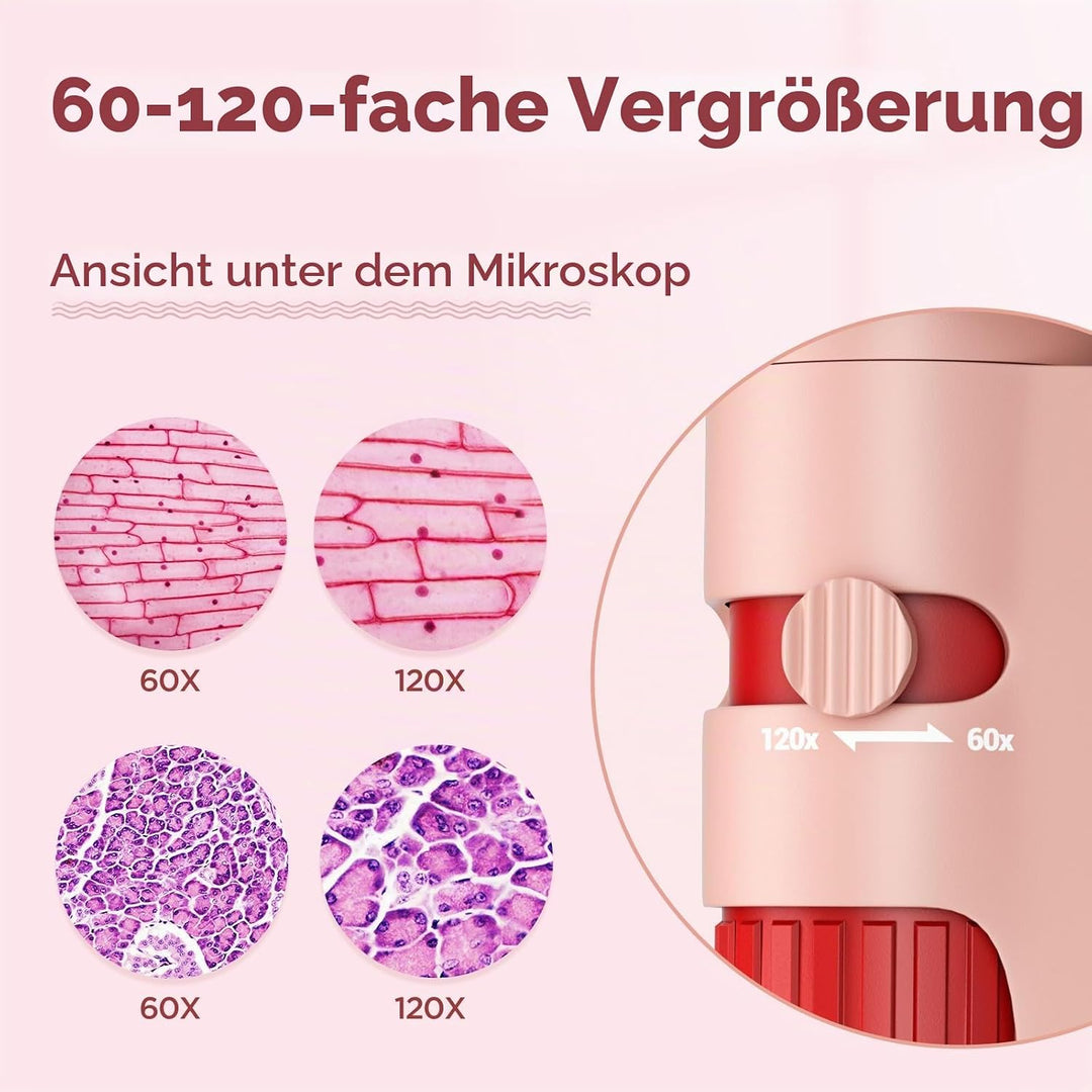 60x-120x Mini Taschen Mikroskop für Kinder Erwachsene, Tragbares Handmikroskop mit Objektträgern, Mi