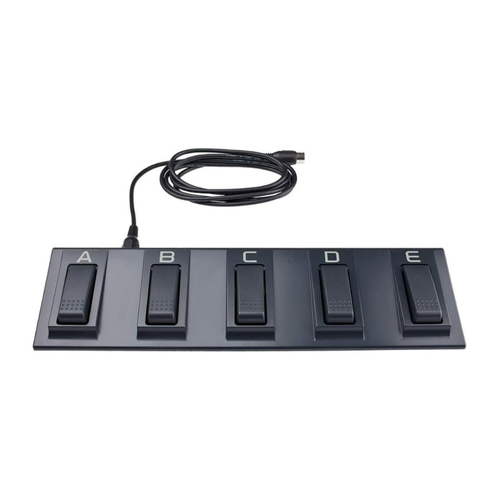KORG EC5 Externer Controller 5-Pedal-Pedaleinheit für KORG Arranger-Keyboards Single, Single
