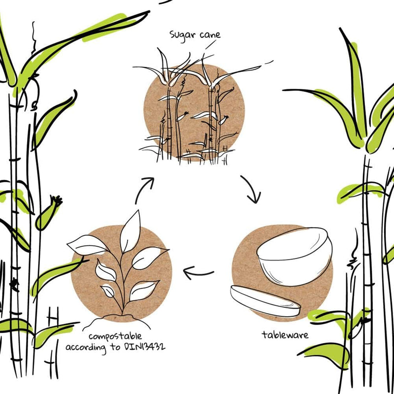 BIOZOYG Zuckerrohr-Schalen 650 ml I 500 St. kompostierbare Suppenschalen aus Bagasse - biologisch ab