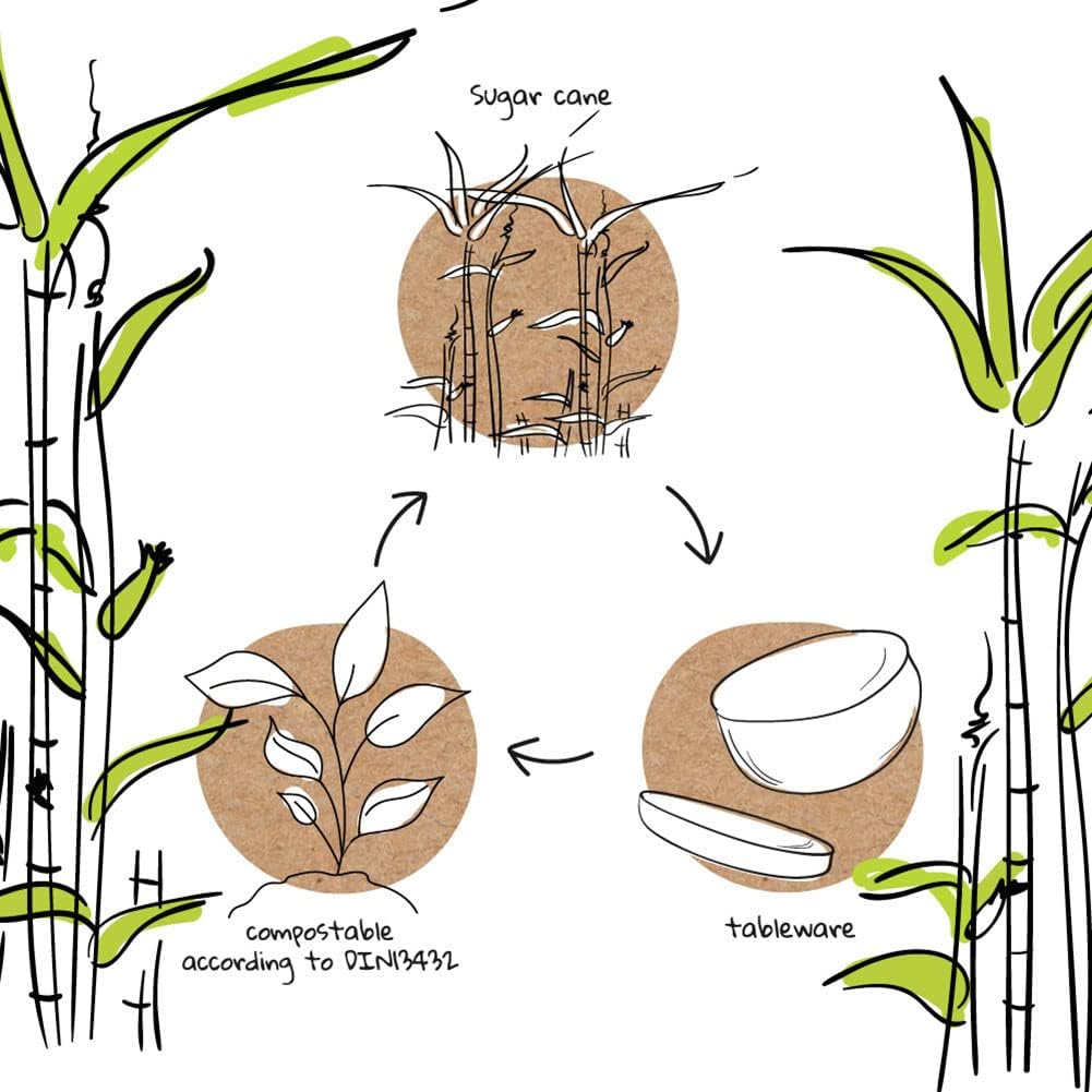 BIOZOYG Scatola Hamburger Biologica Monouso Ciotola di Canna da Zucchero biodegradabile I Contenitor