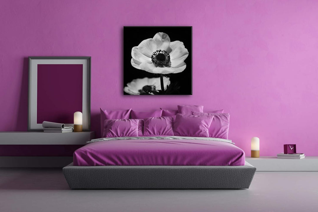 deyoli Dark Anemone Format: 60x60 Effekt: Schwarz&amp;Weiss als Leinwandbild, Motiv auf Echtholzrahmen,