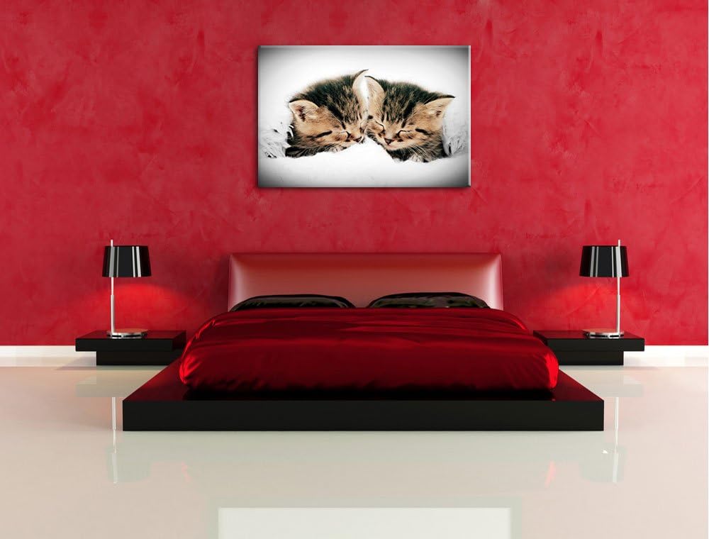 Kleine Süsse Kätzchen kuscheln schwarz/weiss Format: 100x70 auf Leinwand, XXL riesige Bilder fertig