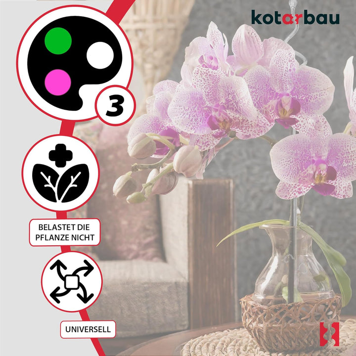 KOTARBAU® 6er Set Pflanzenstütze Transparent PVC 58 cm Spirale Blumenstütze Rankhilfe Zimmerpflanzen