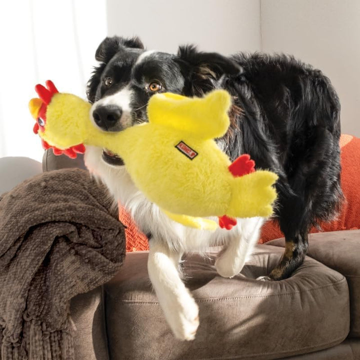 KONG Scruffs Hundespielzeug aus Plüsch, Huhn, sortiert, Huhn