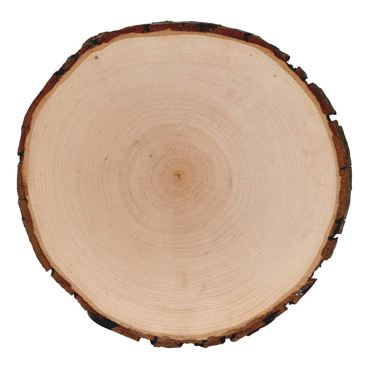 Rindenbrett Esche rund - Rindenscheibe Baumscheibe geschliffen Holzbrett, Brettgrösse:Ø ca. 28cm, &#