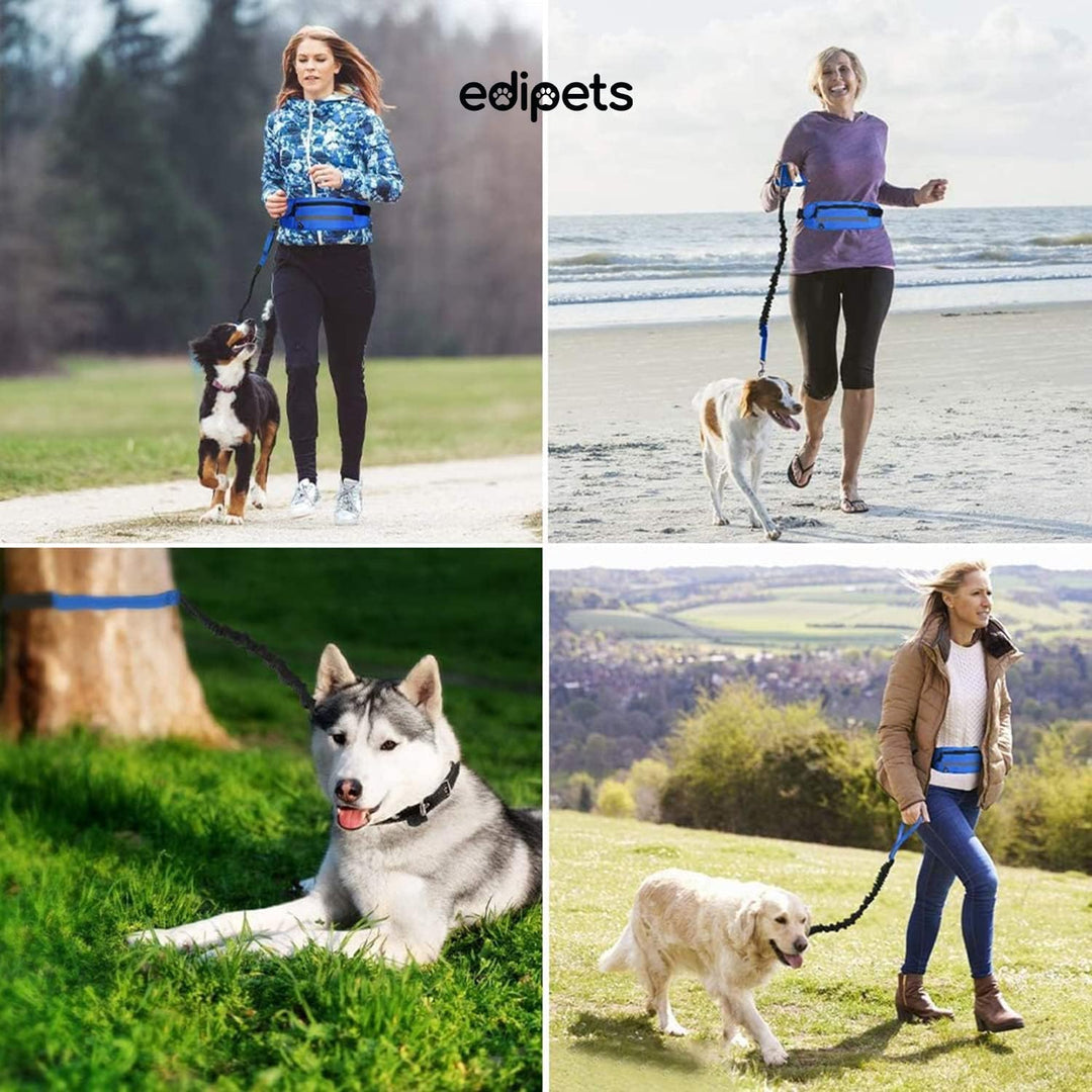 Edipets, Joggingleine Hunde, Freihändig, Laufen, Wandern, Gurtband, Anti-Stress, Reflektierend, 160-