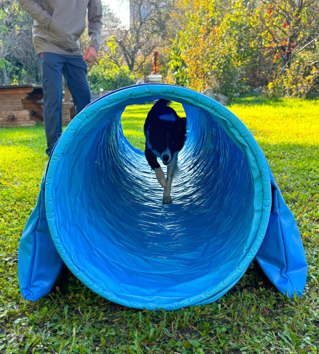 Callieway® Dog Agility Tunnel Profi Hunde Tunnel Agility Gerät (Stützsandsäcke bereits inklusive) (H