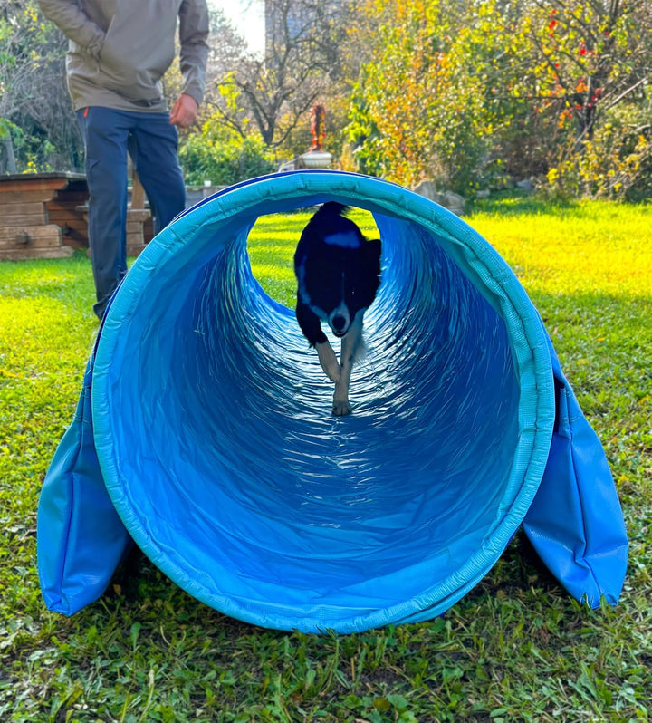 Callieway® Dog Agility Tunnel Profi Hunde Tunnel Agility Gerät (Stützsandsäcke bereits inklusive) (H
