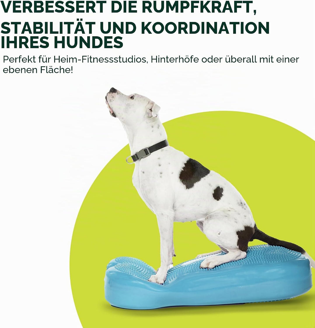 FitPAWS Giant Fitbone (blau)