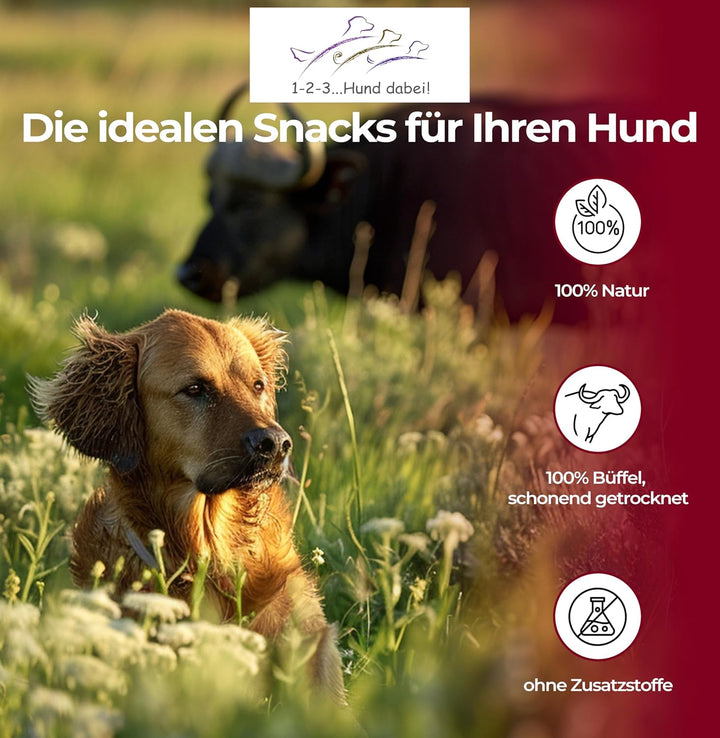 123...Hund dabei! - Büffel-Lunge 3kg, Rinderlunge XXL-Pack, fettarm, getrocknetes Rindfleisch, schon