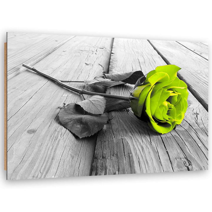 Wanddeko Rose Kunst modern Bilder Natur Grün 100x70 cm M14563 100x70 cm, M14563 100x70 cm