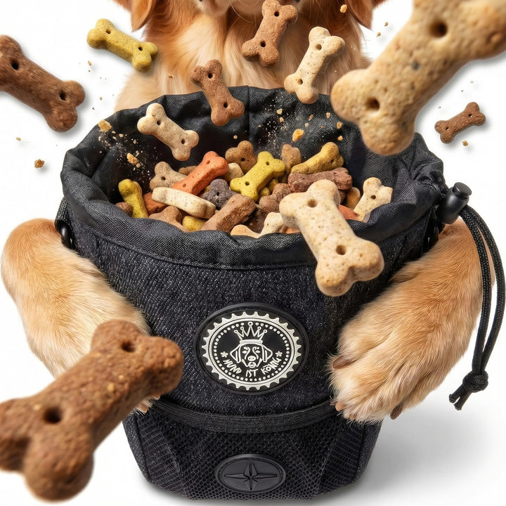 HUND IST KÖNIG® Leckerlibeutel für Hunde-Training - Robuster Futterbeutel Hunde, kompakt & funktiona