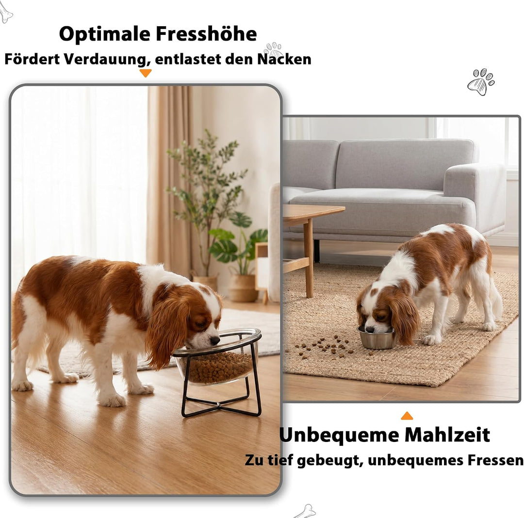 Hundenapf Katzennapf - Futternapf Hund Katze - Futterstation Hund Katzen Erhöht mit Ständer - Fressn