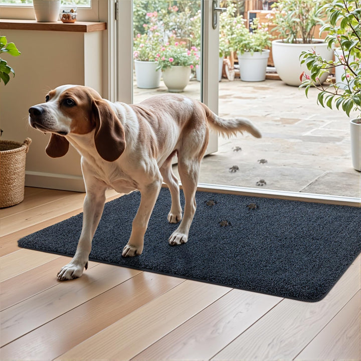 DEXI Fussmatte Innen 50 x 80 cm, rutschfeste Schmutzfangmatte, Maschinenwaschbare Fussmatte, Saugsta