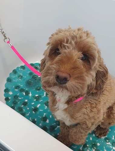 Haustier-Schlingen-Schlaufe - Fellpflege-Set für Hunde Hundesalon Werkzeughalter für Hundesalon Tisc