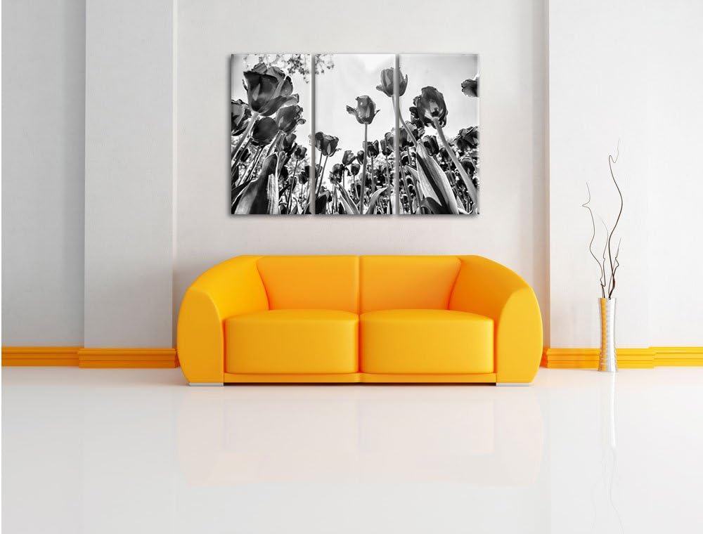 Pixxprint Rosenfeld als Leinwandbild/Grösse: 3 Teilig (120x80) cm/Wandbild/Kunstdruck/fertig bespann